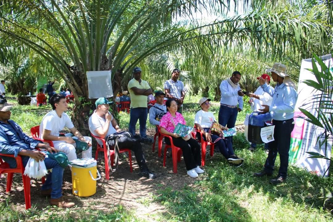 Día de Campo